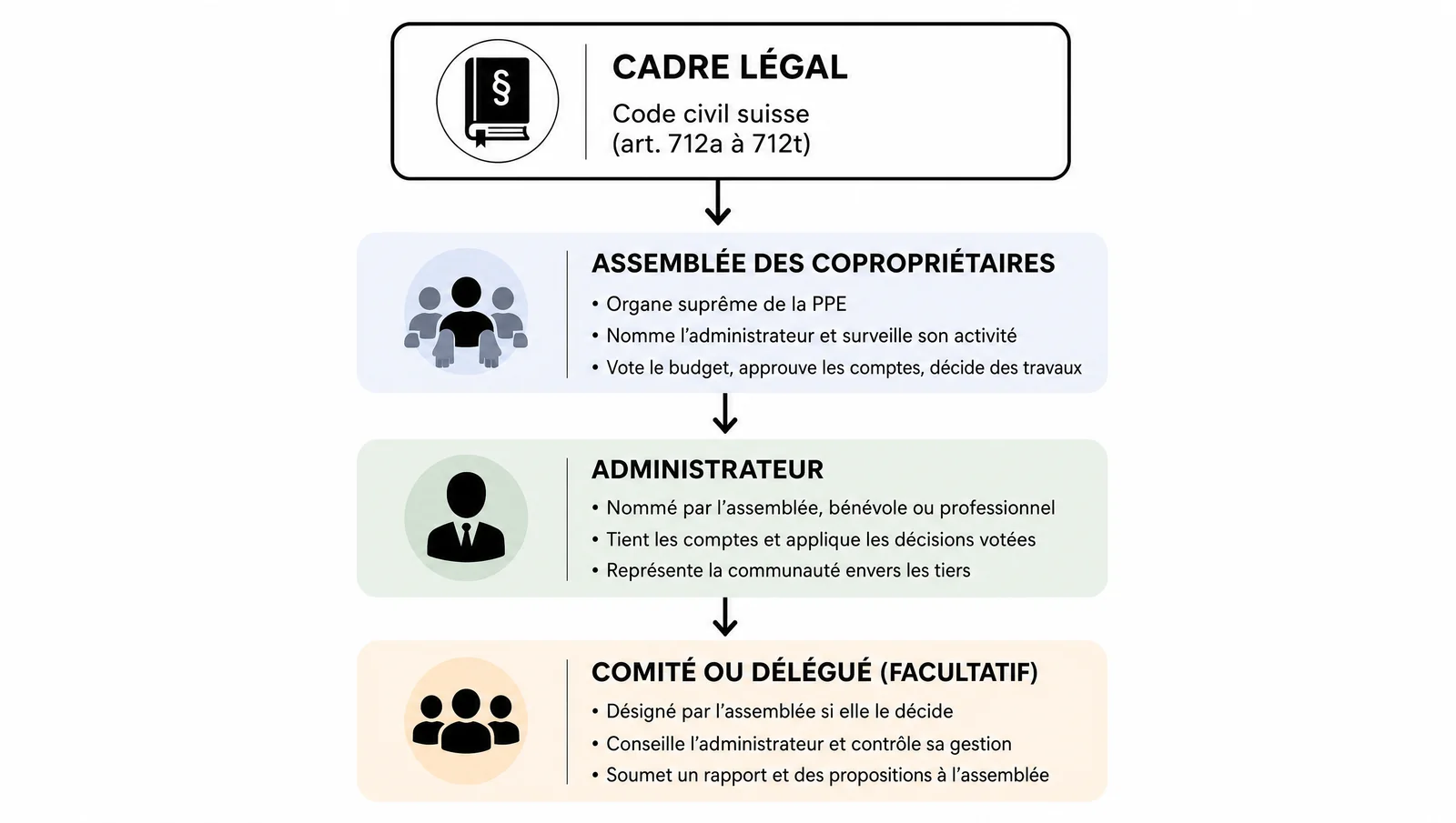 Organigramme de la PPE en droit suisse : assemblée des copropriétaires, administrateur et comité facultatif (CC 712a à 712t)